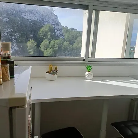 Apartment Vue Et Montagne Dans Parc Du Roy D'espagne, Up To 7 People
